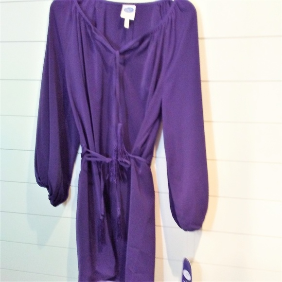 Diane Gilman Tunic Style Dress Purple Size M NWT - Picture 3 of 8